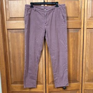 AG Adriano Goldschmied Men's Mauve Chinos